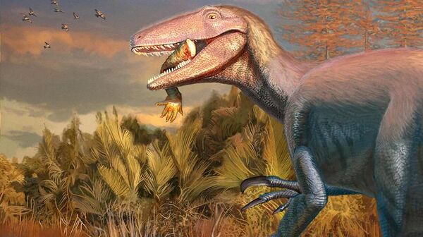 Descoberto novo megaraptor na Argentina: fóssil sugere que espécie devorava crocodilos - Sputnik Brasil