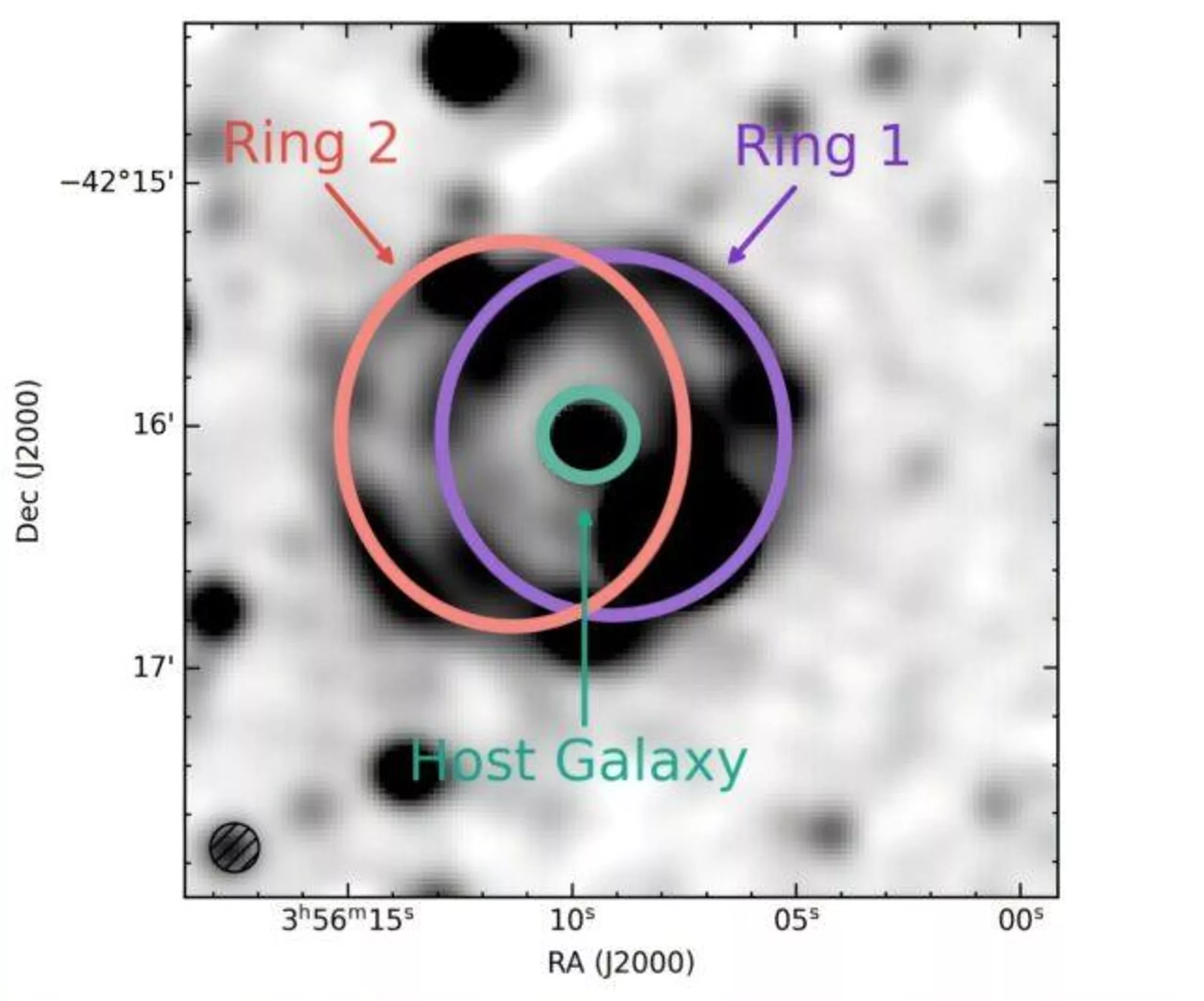 Uma imagem feita a partir de dados do MeerKAT do ORC J0356–4216. Em rosa, o segundo anel; em roxo, o primeiro anel; em verde, a galáxia hospedeira - Sputnik Brasil, 1920, 27.09.2025