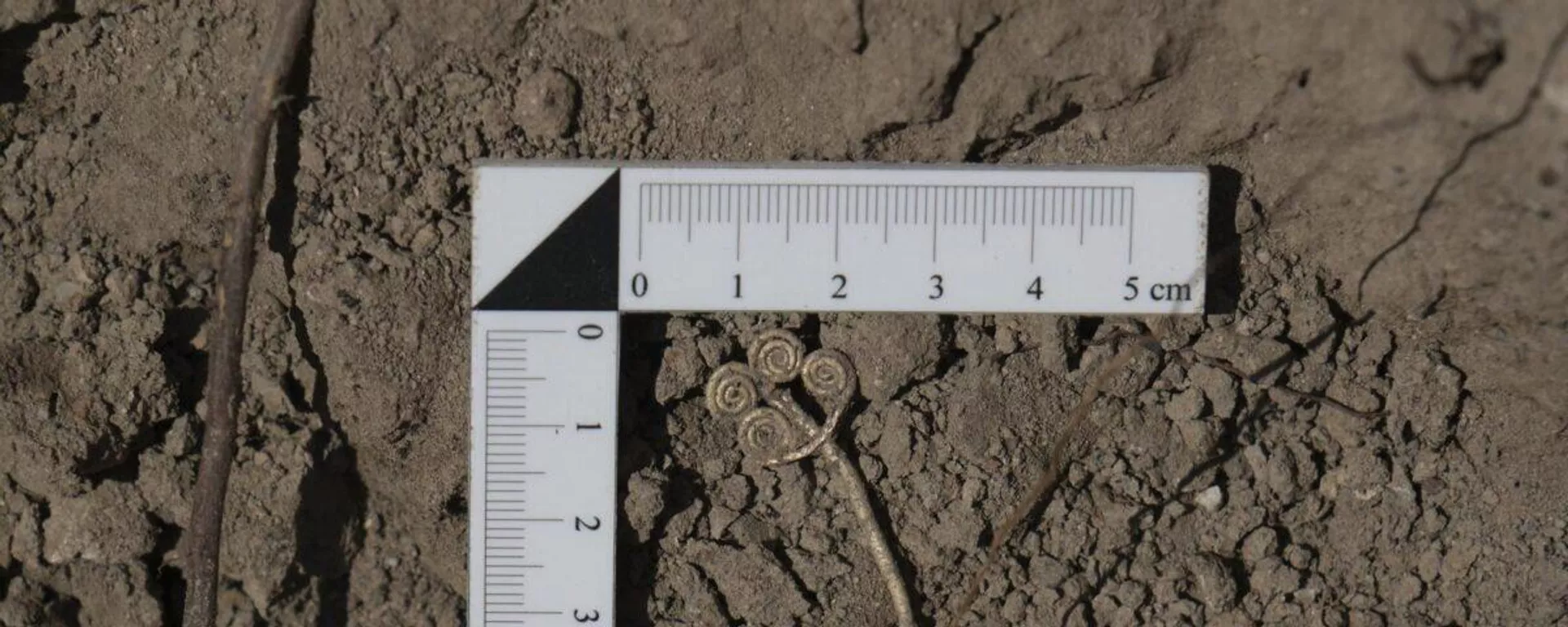 Um broche de ouro de 4.500 anos descoberto durante escavações na antiga cidade de Troia, Turquia - Sputnik Brasil, 1920, 27.09.2025