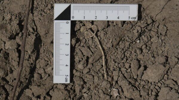 Um broche de ouro de 4.500 anos descoberto durante escavações na antiga cidade de Troia, Turquia - Sputnik Brasil