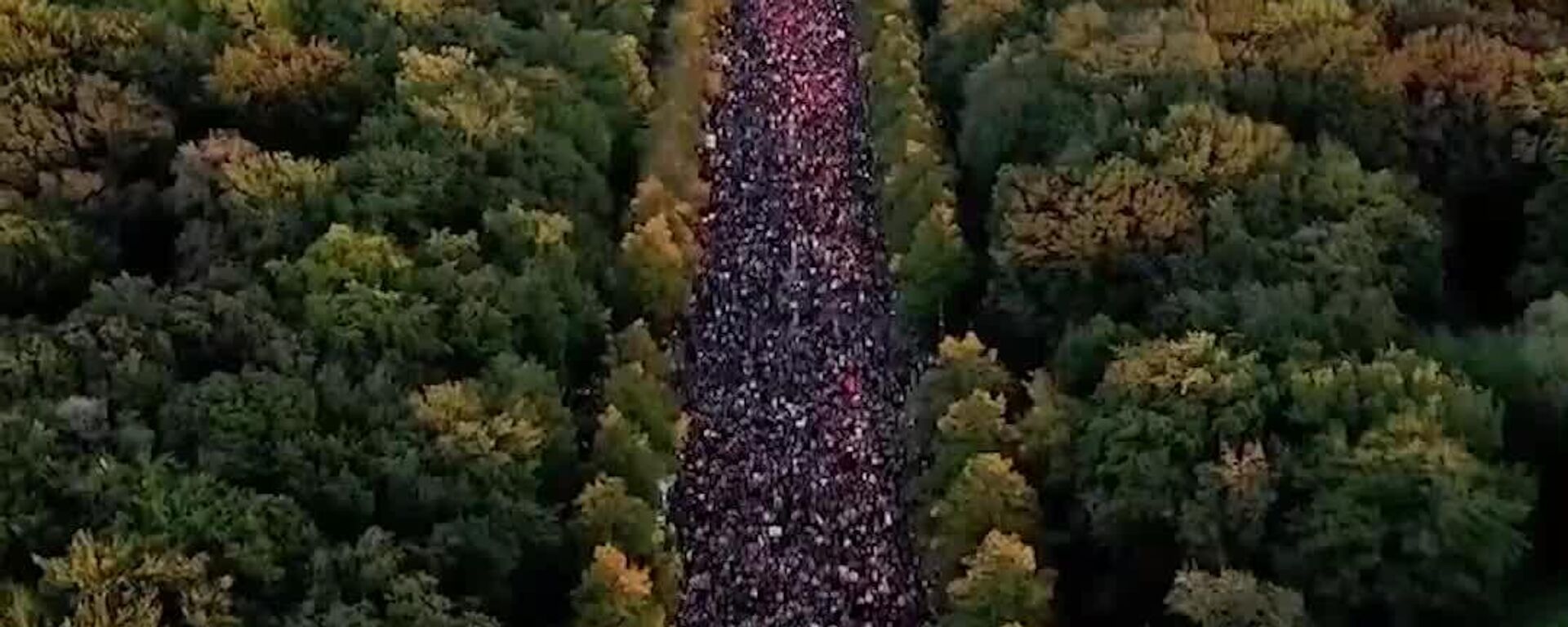 Protesto recorde pró-Palestina reúne 60-100 mil pessoas em Berlim - Sputnik Brasil, 1920, 28.09.2025