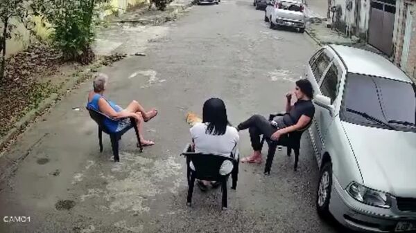 Herói felino! Gato enfrenta pitbull e salva idosa no Rio de Janeiro - Sputnik Brasil