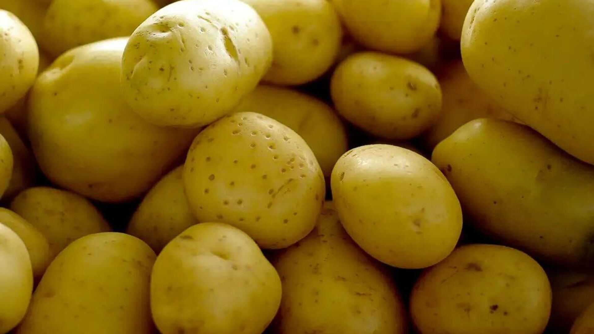 Batata, ovos e verduras aliviam inflação em agosto em São Paulo Batata, ovos e verduras aliviam inflação em agosto em São Paulo - Sputnik Brasil, 1920, 01.10.2025