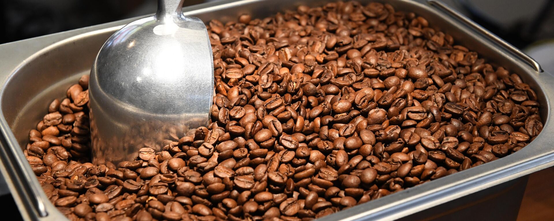 Café do Brasil. - Sputnik Brasil, 1920, 04.10.2025