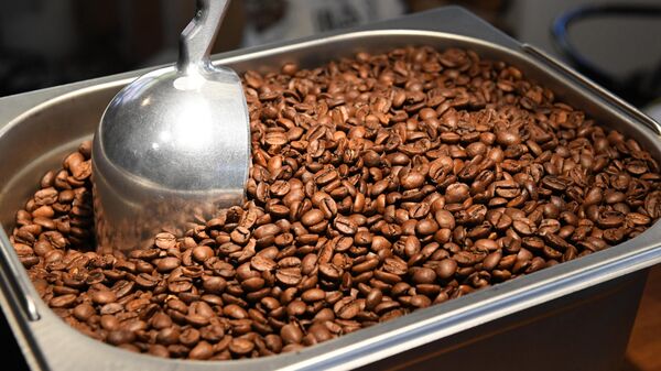 Café do Brasil. - Sputnik Brasil