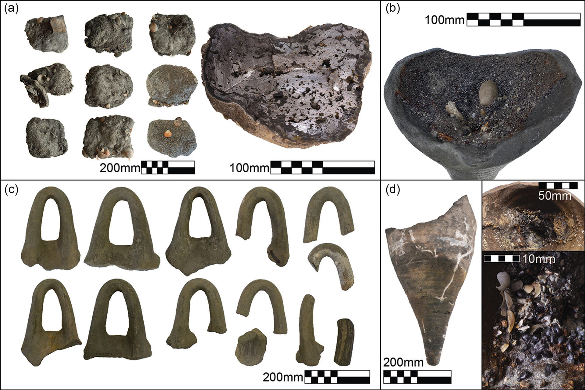 Artefatos recuperados da carga do navio da Idade do Ferro: a) massas de ferro; b) base de uma ânfora com alça de cesta contendo resina; c) alças de ânfora com alça de cesta; d) outra base de ânfora contendo sementes de uva do locus. Artefatos recuperados da carga do navio da Idade do Ferro: a) massas de ferro; b) base de uma ânfora com alça de cesta contendo resina; c) alças de ânfora com alça de cesta; d) outra base de ânfora contendo sementes de uva do locus.