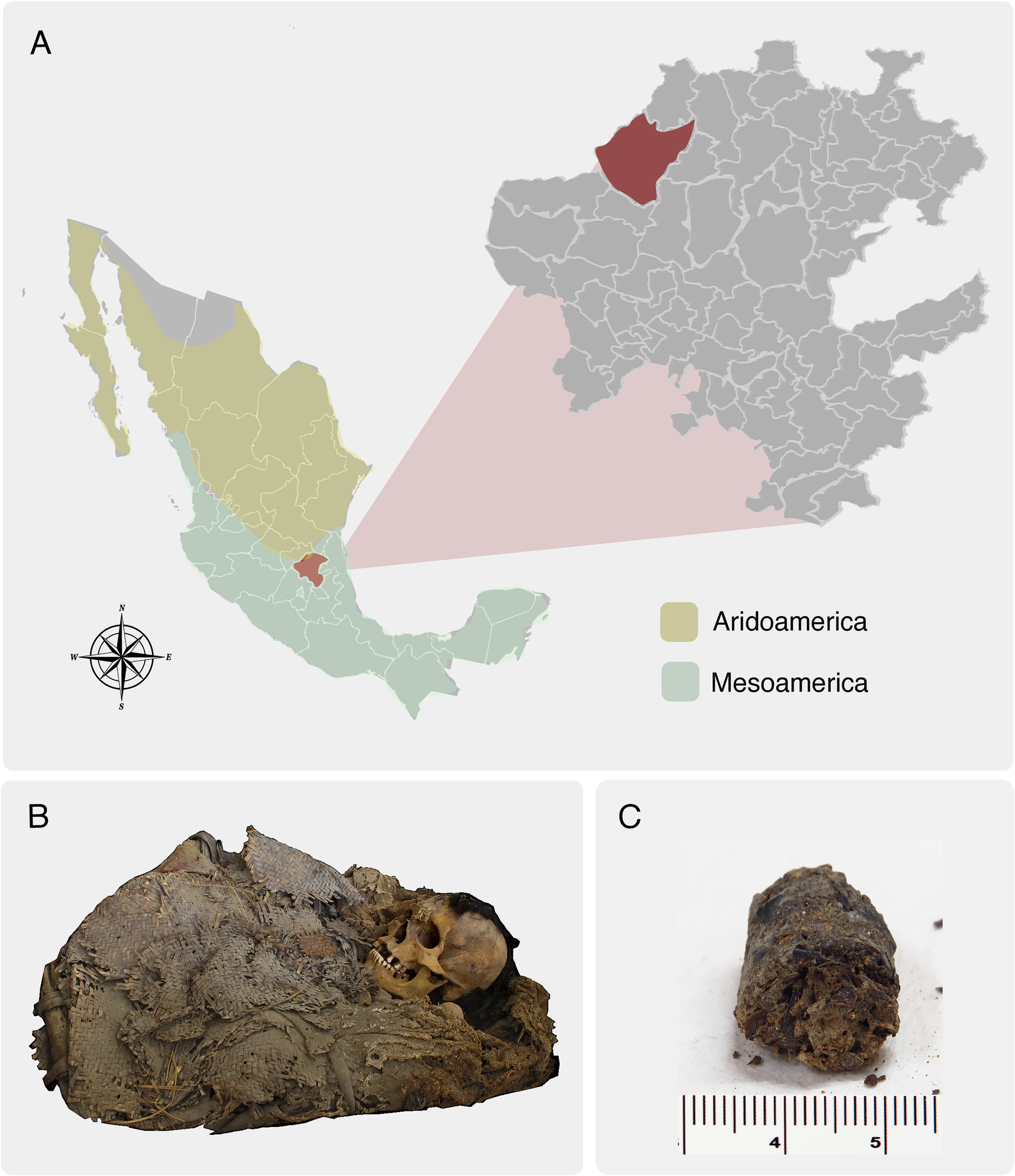 Os restos encontrados em uma caverna perto de Zimapán, México