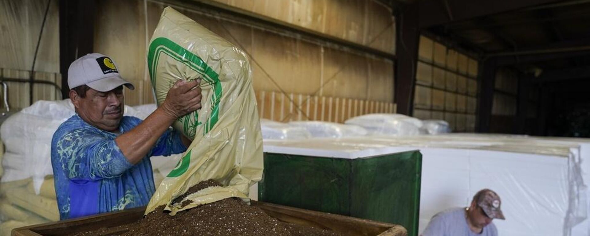 Fernando Osorio Loya (E), um trabalhador contratado de Veracruz, México, despeja terra em uma semeadora enquanto Miguel Angel (D), também um trabalhador contratado de Veracruz, México, prepara bandejas para sementes em uma fazenda em Crofton, Kentucky, EUA, 12 de março de 2024 - Sputnik Brasil, 1920, 12.10.2025