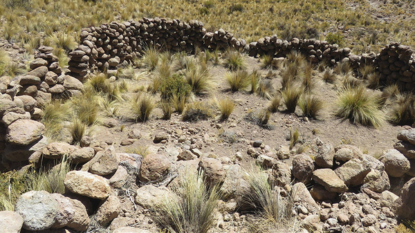 Armadilha chacu descoberta na bacia do Rio Camarones - Sputnik Brasil