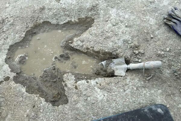 Uma pegada de um dinossauro Megalosaurus - Sputnik Brasil