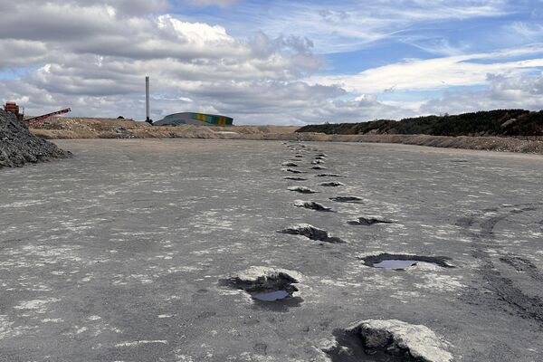 Pegadas do dinossauro Megalosaurus - Sputnik Brasil