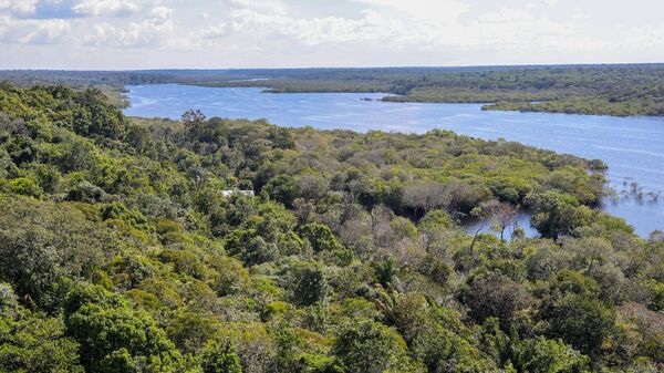 Cenas da Amazônia: pôr do sol no Rio Negro, Manaus, 6 de julho de 2024 - Sputnik Brasil