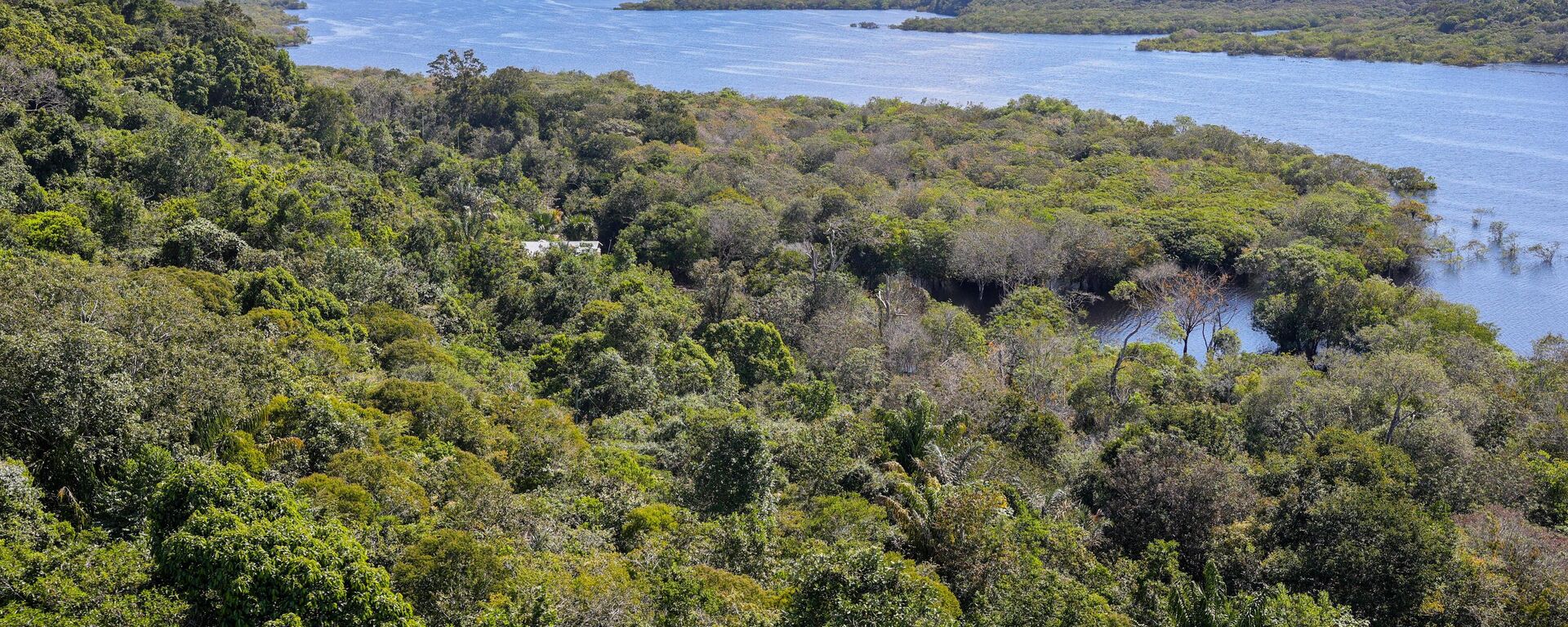 Cenas da Amazônia: pôr do sol no Rio Negro, Manaus, 6 de julho de 2024 - Sputnik Brasil, 1920, 16.10.2025