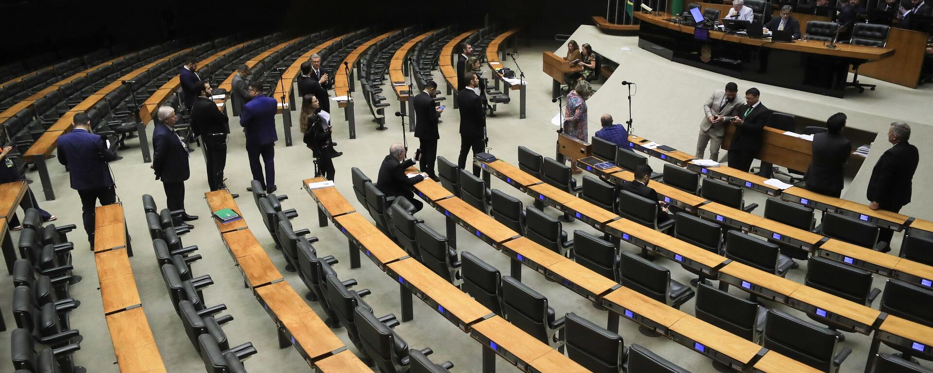 Câmara dos Deputados durante sessão deliberativa virtual para a votação de propostas. Na pauta, sete projetos de decreto legislativo sobre acordos internacionais firmados pelo Brasil, Brasília, 6 de fevereiro de 2025 - Sputnik Brasil, 1920, 18.10.2025