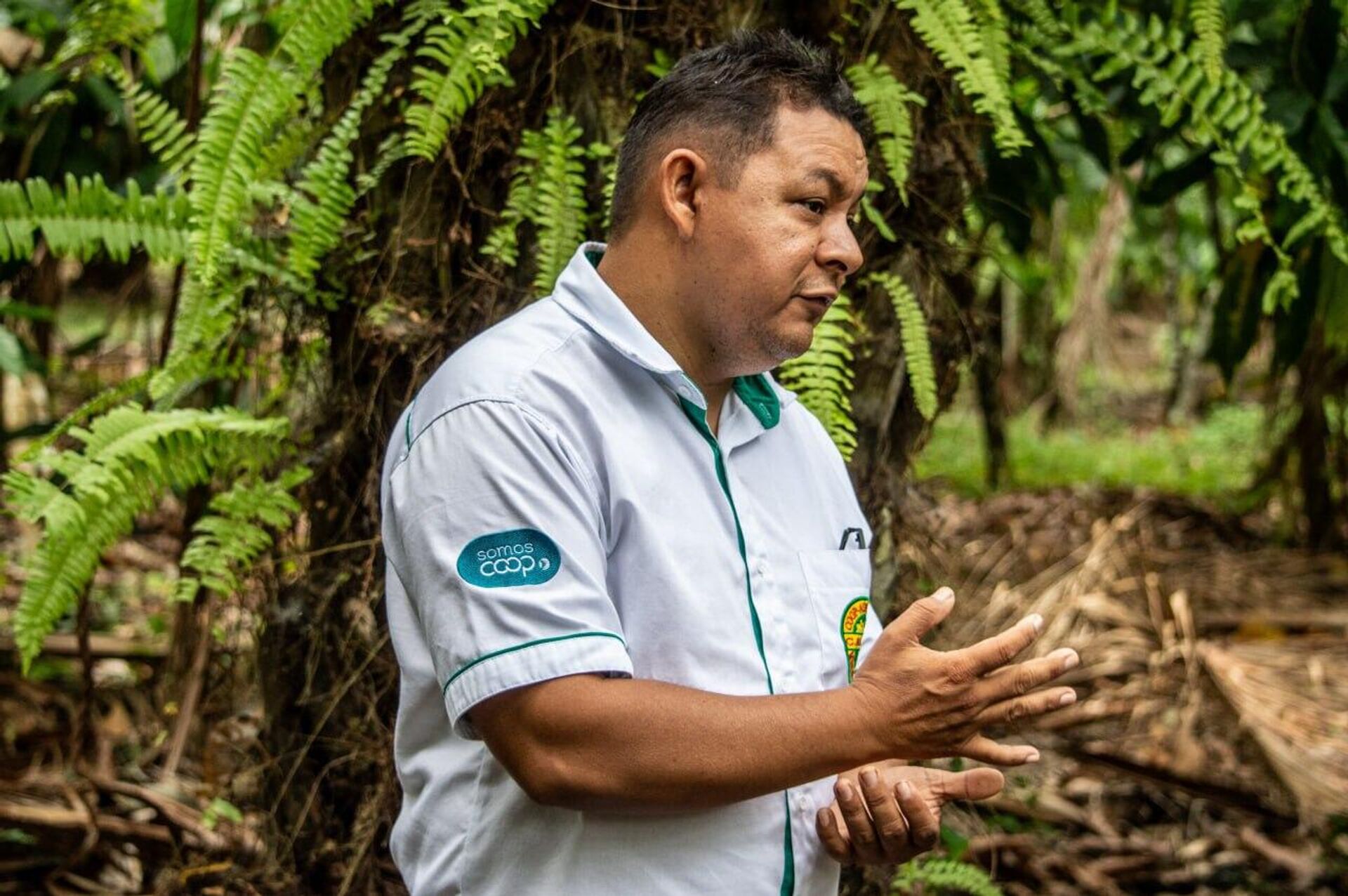 Técnico de cooperativa explica o funcionamento do sistema agroflorestal em área de produção no Pará, no Norte brasileiro.