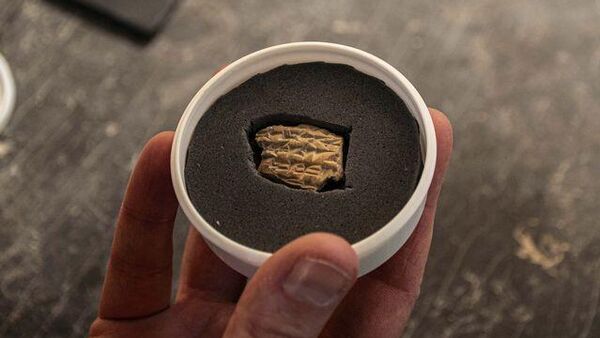 O selo assírio – o único já descoberto do período do Primeiro Templo - Sputnik Brasil