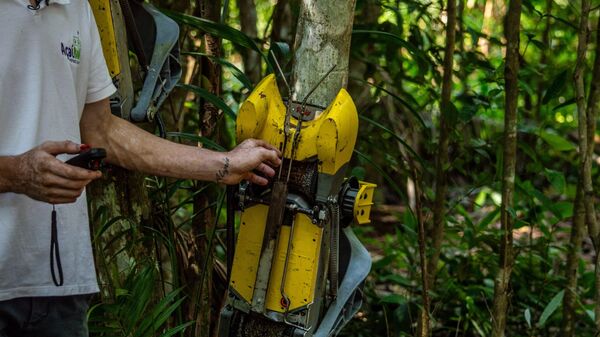 Robô criado na Amazônia extrai açaí direto do pé e automatiza colheita na região do Pará. 23 de outubro de 2025 - Sputnik Brasil