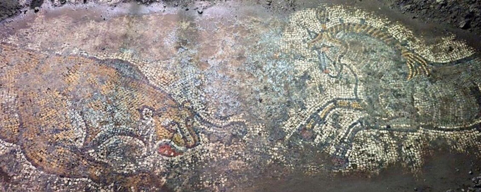 Mosaico de 1.500 anos descoberto durante uma operação anticontrabando na província de Mardin, no sudeste da Turquia - Sputnik Brasil, 1920, 24.10.2025