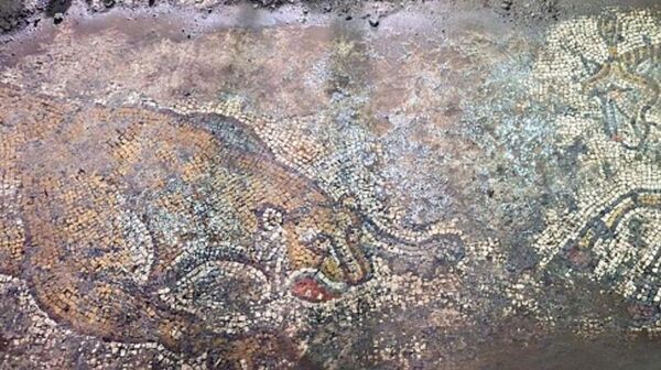 Mosaico de 1.500 anos descoberto durante uma operação anticontrabando na província de Mardin, no sudeste da Turquia - Sputnik Brasil