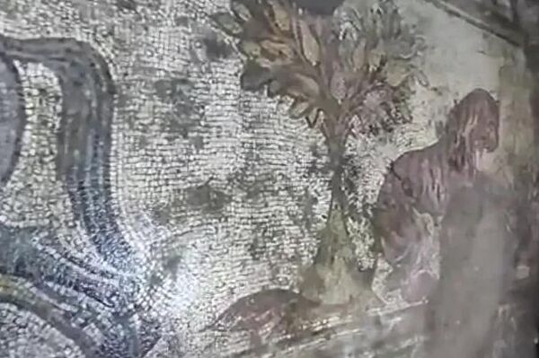 Mosaico de 1.500 anos descoberto durante uma operação anticontrabando na província de Mardin, no sudeste da Turquia - Sputnik Brasil