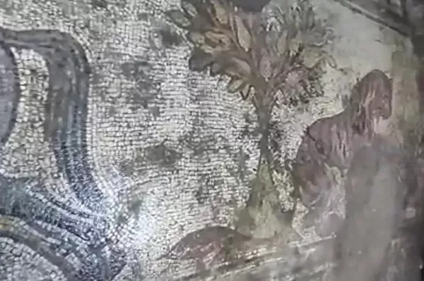 Mosaico de 1.500 anos descoberto durante uma operação anticontrabando na província de Mardin, no sudeste da Turquia Mosaico de 1.500 anos descoberto durante uma operação anticontrabando na província de Mardin, no sudeste da Turquia - Sputnik Brasil