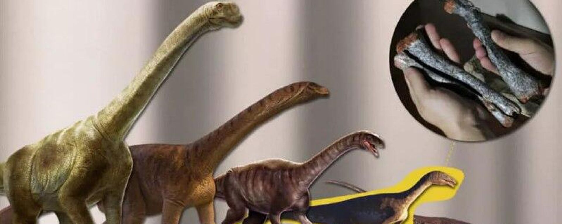 Pesquisadores brasileiros descobrem pegadas de dinossauros na Amazônia - Sputnik Brasil, 1920, 26.10.2025