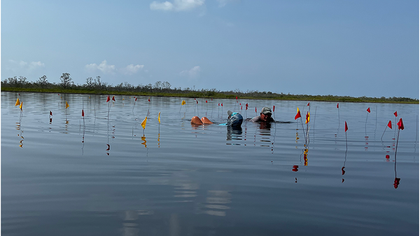 Arqueólogos e bandeiras de arame marcando locais de postes de madeira na aldeia Ch'OK Ayin - Sputnik Brasil