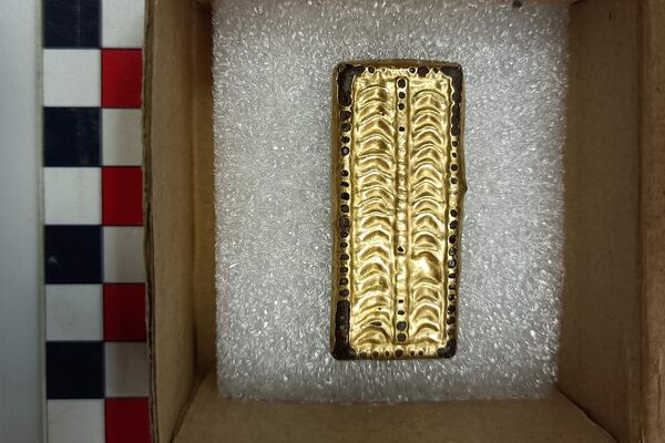 Acessório dourado desenterrado em túmulo de um guerreiro ávaro do século VII d.C., na Hungria - Sputnik Brasil