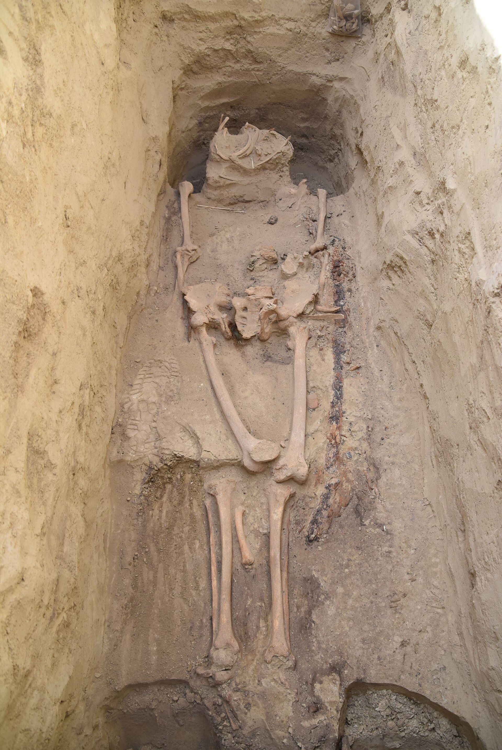 Restos de um guerreiro ávaro do século VII d.C., desenterrados na Hungria Restos de um guerreiro ávaro do século VII d.C., desenterrados na Hungria