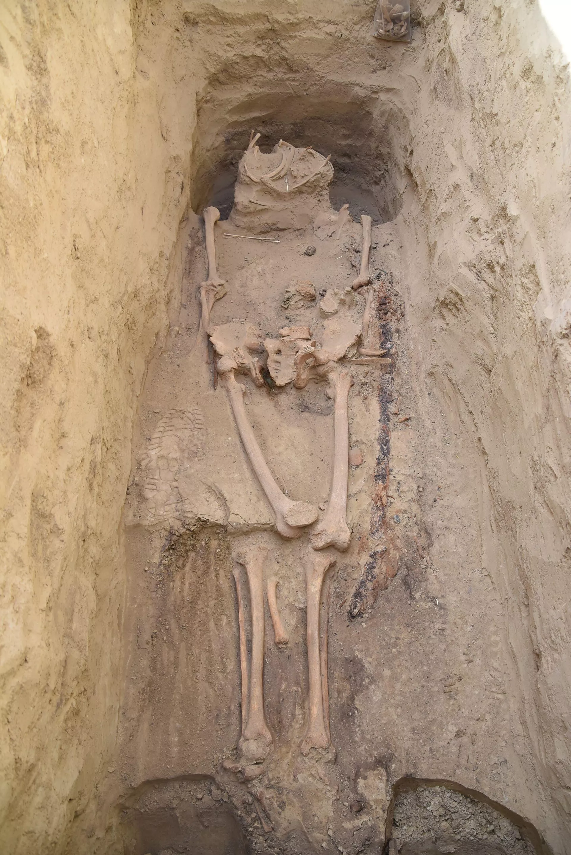 Restos de um guerreiro ávaro do século VII d.C., desenterrados na Hungria Restos de um guerreiro ávaro do século VII d.C., desenterrados na Hungria - Sputnik Brasil, 1920, 29.10.2025