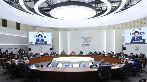 Por que a reunião da APEC deste ano atraiu tanta atenção mundial? - Sputnik Brasil