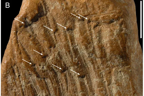 Fragmento de ocre - Sputnik Brasil