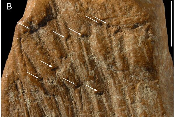 Fragmento de ocre - Sputnik Brasil