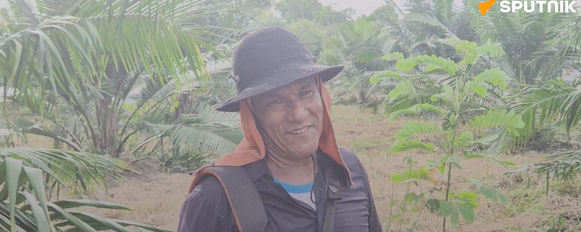 Assentamentos rurais no Pará conciliam agricultura familiar e preservação na Amazônia - Sputnik Brasil, 1920, 02.11.2025