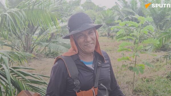 Assentamentos rurais no Pará conciliam agricultura familiar e preservação na Amazônia - Sputnik Brasil