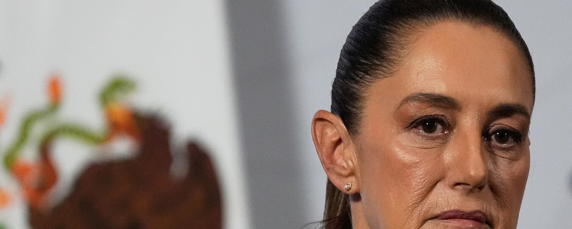 A presidente do México, Claudia Sheinbaum, durante entrevista coletiva em novembro de 2025 - Sputnik Brasil, 1920, 16.01.2026