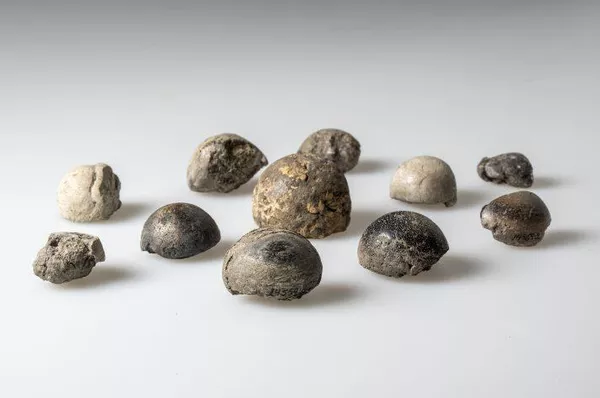 Peças de jogo feitas de osso de baleia e argila queimada Peças de jogo feitas de osso de baleia e argila queimada - Sputnik Brasil