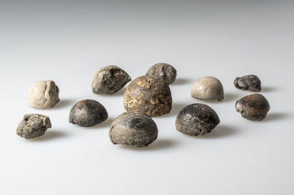 Peças de jogo feitas de osso de baleia e argila queimada - Sputnik Brasil