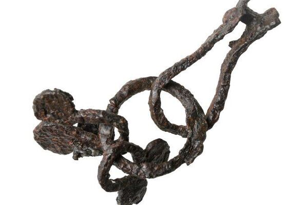 Equipamento para cavalos - Sputnik Brasil