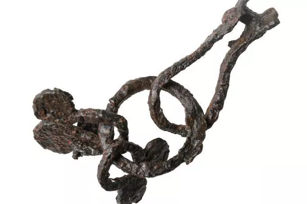 Equipamento para cavalos Equipamento para cavalos - Sputnik Brasil