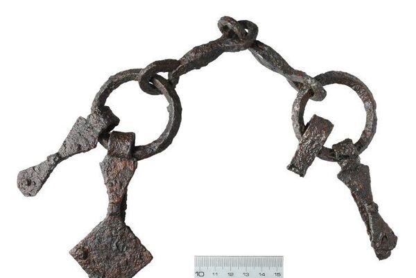 Equipamento para cavalos - Sputnik Brasil