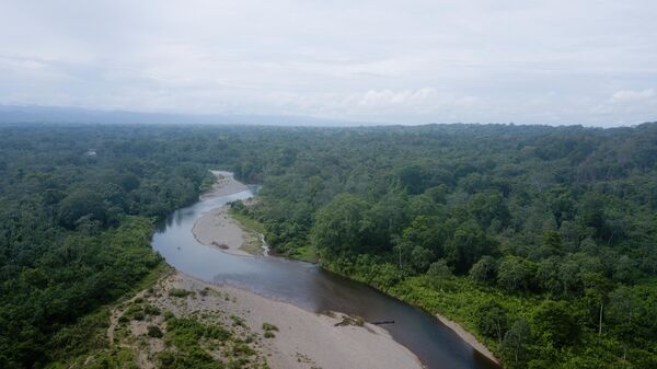 Vista do rio Tuquesa enquanto ele serpenteia pela selva a partir de Bajo Chiquito, na província de Darién, Panamá. - Sputnik Brasil