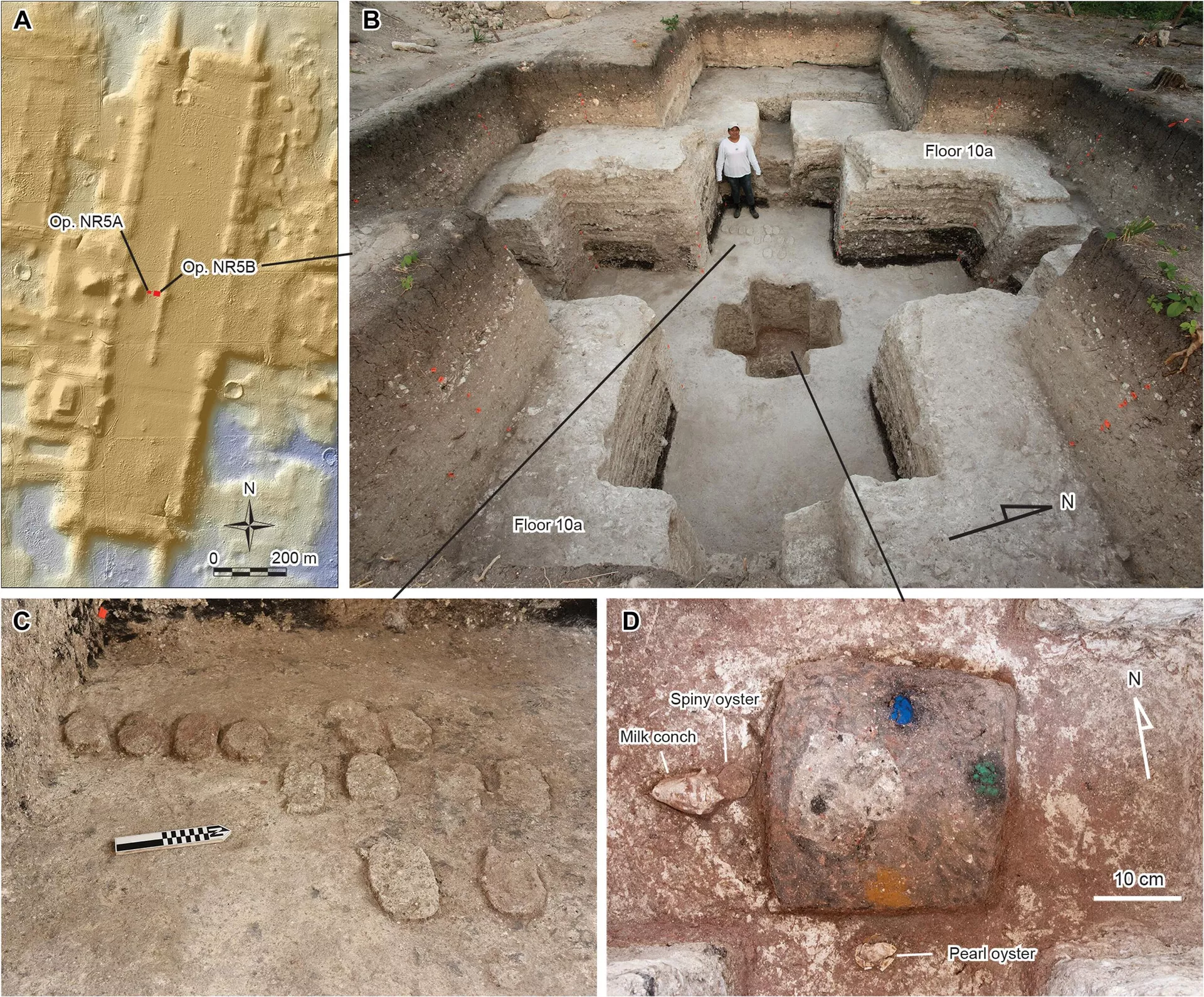 Escavações da parte central da cidade perdida Aguada Fênix, no México Escavações da parte central da cidade perdida Aguada Fênix, no México - Sputnik Brasil, 1920, 11.11.2025