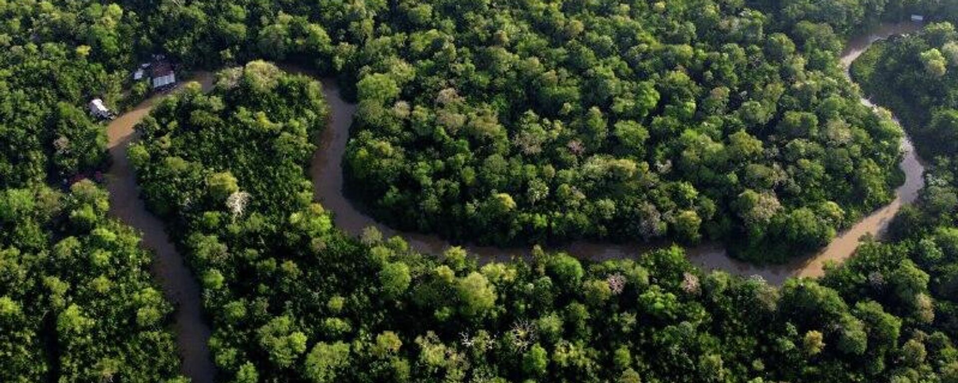 Brasileiros temem que potências estrangeiras tentem 'roubar' a Amazônia - Sputnik Brasil, 1920, 13.11.2025