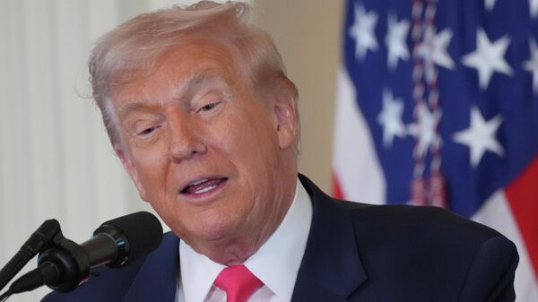 O presidente dos Estados Unidos, Donald Trump, durante entrevista coletiva na Casa Branca, em novembro de 2025 - Sputnik Brasil
