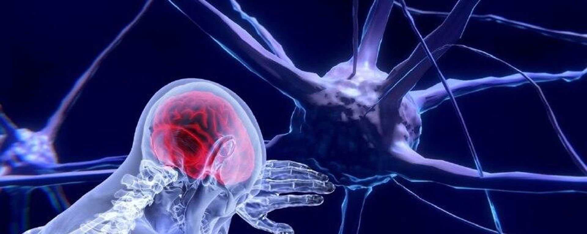 Estudo brasileiro revela que inflamação cerebral é peça-chave na progressão do Alzheimer Estudo brasileiro revela que inflamação cerebral é peça-chave na progressão do Alzheimer - Sputnik Brasil, 1920, 16.11.2025