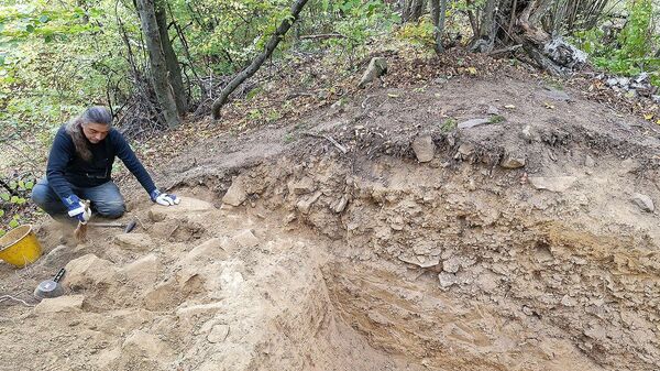 Cientista está pesquisando a fortaleza na Croácia. - Sputnik Brasil