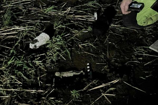 Arqueólogo está ao lado de uma estátua de Cristo em bronze dourado, recém-descoberta, com 800 anos de idade - Sputnik Brasil