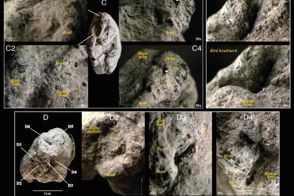 Detalhes das características modeladas do ganso, incluindo a cabeça, o pescoço, o bico, as asas e o perfil superior. Painéis mostram a figura de vários ângulos para ilustrar as técnicas de modelagem - Sputnik Brasil