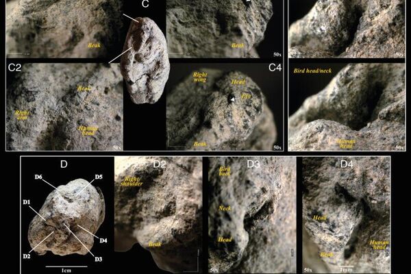 Detalhes das características modeladas do ganso, incluindo a cabeça, o pescoço, o bico, as asas e o perfil superior. Painéis mostram a figura de vários ângulos para ilustrar as técnicas de modelagem Detalhes das características modeladas do ganso, incluindo a cabeça, o pescoço, o bico, as asas e o perfil superior. Painéis mostram a figura de vários ângulos para ilustrar as técnicas de modelagem - Sputnik Brasil